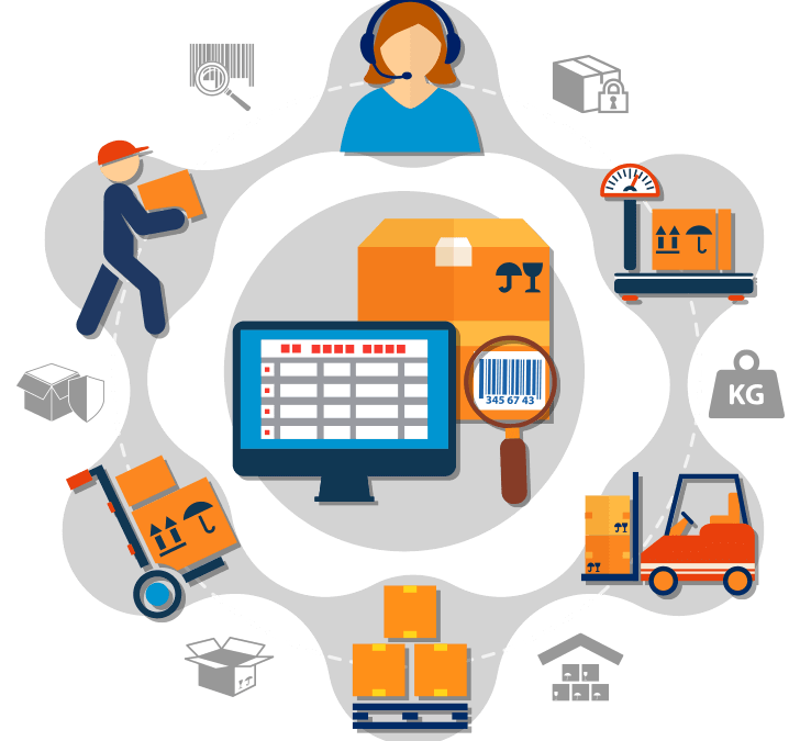 ERP & Business Process Automation